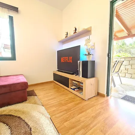 Nikolas Villa *